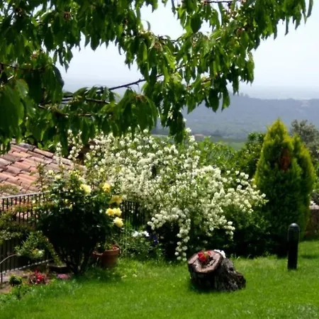 El Higueral De La Sayuela El Raso