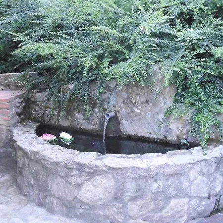El Higueral De La Sayuela