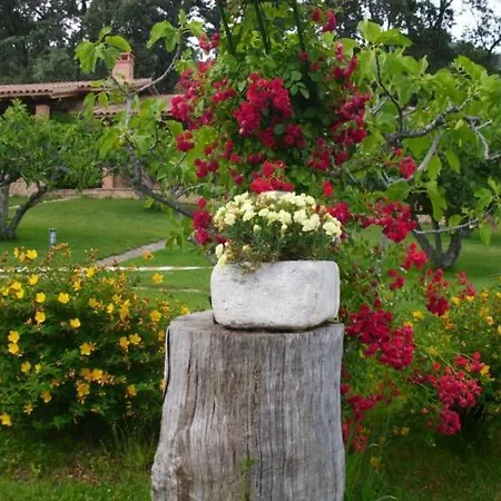 El Higueral De La Sayuela El Raso