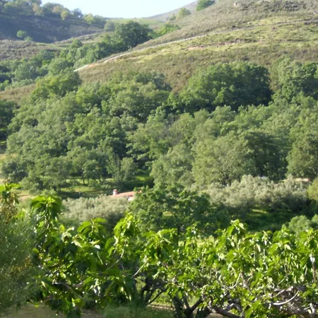 El Higueral De La Sayuela Lägenhet El Raso