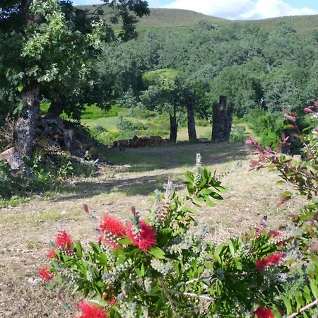 El Higueral De La Sayuela *