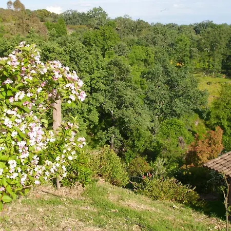 El Higueral De La Sayuela